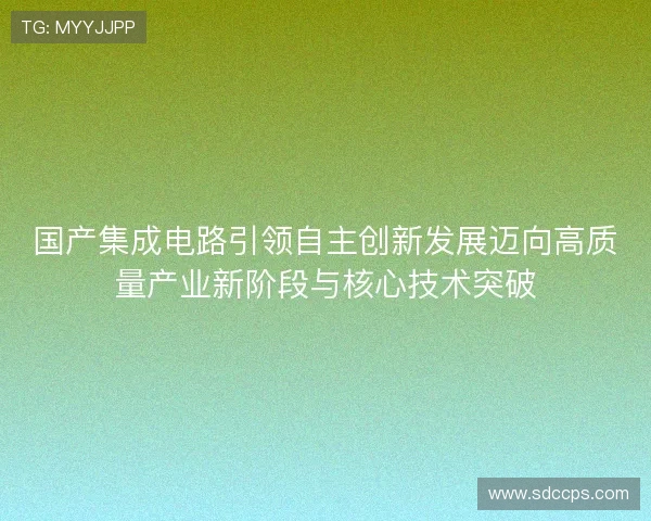 国产集成电路引领自主创新发展迈向高质量产业新阶段与核心技术突破 国产集成电路引领自主创新发展迈向高质量产业新阶段与核心技术突破